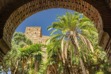 Alcazaba, Endülüs, İspanya, Avrupa 'daki Malaga şehrindeki saray ve kaleler. Kemerli bir geçitten görünen taş kule, yemyeşil palmiyeler ve açık mavi gökyüzünün altında etrafını sarar..