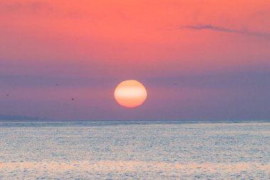 Endülüs, İspanya ve Avrupa 'daki Malaga sahil şehrinden gün doğumu manzarası. Sakin okyanus sularının üzerinde sakin bir gün doğumu. Büyük, parlak güneş ufkun aşağısına iniyor, gökyüzünü pembe ve mor renklerle boyuyor..