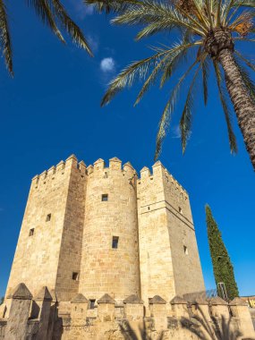 İspanya 'nın Cordoba kasabasındaki Roma Köprüsü' nün bir tarafındaki Calahorra Kulesi. Canlı mavi gökyüzünün altındaki antik taş kule, sahneyi çevreleyen palmiye ağaçları. Güneşli bir gün, tarihi mimari.