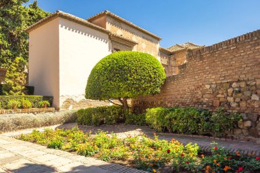 Alcazaba, Endülüs, İspanya, Avrupa 'daki Malaga şehrindeki saray ve kaleler. Çiçek açan bitkilerle, çalı ağacıyla ve antik tuğla duvarlarla sırılsıklam olmuş avlu bahçesi.