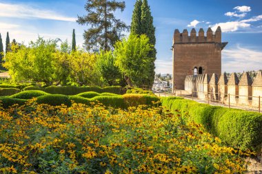 Granada kasabasındaki Alhambra kompleksi, Endülüs, İspanya. Sarı çiçekli ve antik taş duvarlı güneşli bahçe.
