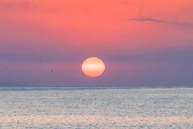 Endülüs, İspanya ve Avrupa 'daki Malaga sahil şehrinden gün doğumu manzarası. Sakin okyanus sularının üzerinde sakin bir gün doğumu. Büyük, parlak güneş ufkun aşağısına iniyor, gökyüzünü pembe ve mor renklerle boyuyor..