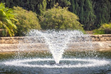 Endülüs, İspanya, Avrupa 'daki Malaga şehrindeki La Concepcion Tarihi Botanik Bahçesi. Çeşme yemyeşil sularla çevrili bir gölete püskürtülmüş..