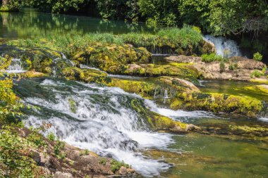 Veljaci köyünde Kocusa şelalesi, Bosna-Hersek, Avrupa. Güneşli bir günde, verimli yeşilliklerle çevrili yosunlu kayaların üzerinde şelale gibi akan manzara. Güzel doğal manzara.