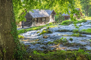 Bosna-Hersek 'in Jajce kasabası yakınlarındaki Pliva Nehri' ndeki Mlincici ahşap su değirmenleri. Resmedilmeye değer ahşap kulübeler yemyeşil bir derenin yanında oturur ve huzurlu bir manzara yaratır..