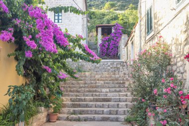 Ston, Hırvatistan, Avrupa 'nın Peljesac yarımadasındaki tarihi bir kasaba. Canlı begonvillerle bezenmiş büyüleyici bir Akdeniz köyünden yükselen taş basamaklar, pitoresk bir manzara yaratıyor..