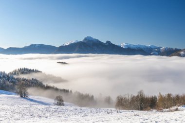Sisli ve güneşli bir sabahta karlı bir kış manzarası. Slovakya 'nın kuzeybatısındaki Mala Fatra Milli Parkı, Avrupa.