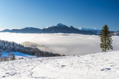 Sisli ve güneşli bir sabahta karlı bir kış manzarası. Slovakya 'nın kuzeybatısındaki Mala Fatra Milli Parkı, Avrupa.