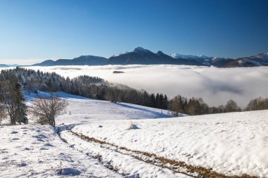 Sisli ve güneşli bir sabahta karlı bir kış manzarası. Slovakya 'nın kuzeybatısındaki Mala Fatra Milli Parkı, Avrupa.