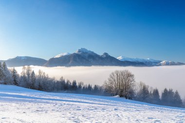 Sisli ve güneşli bir sabahta karlı bir kış manzarası. Slovakya 'nın kuzeybatısındaki Mala Fatra Milli Parkı, Avrupa.