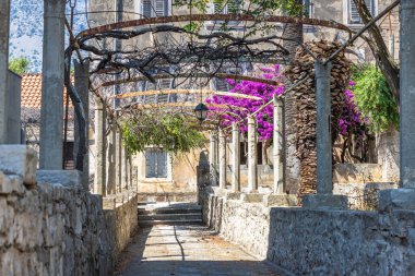 Hırvatistan, Avrupa 'daki Peljesac yarımadasının kıyısındaki Orebic kasabası. Taş sütunlar, tırmanan sarmaşıklar ve büyüleyici, tarihi bir atmosfer yaratan canlı bougainvillea manzarası..