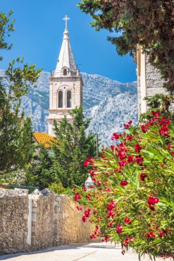 Hırvatistan, Avrupa 'daki Peljesac yarımadasının kıyısındaki Orebic kasabası. Bereketli yeşilliklerle çerçevelenmiş Avrupa kilise kulesi ve açık mavi gökyüzünün altında çarpıcı bir dağ zemin..