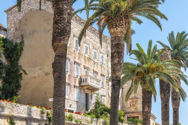 Hırvatistan, Avrupa 'daki Adriyatik Denizi' nin Korcula adasındaki Korcula kasabası. Güneşli bir günde açık mavi gökyüzüne karşı yüksek palmiye ağaçları tarafından çerçevelenmiş taş cepheli ve balkonlu tarihi bina..