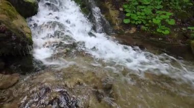 Yosunlu kayaların arasından çağlayan akıntı, ışıkta parlayan su, huzurlu bir orman manzarası yaratır. Yavaş çekim görüntüleri.