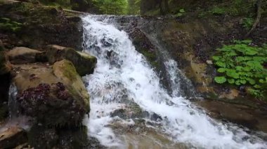 Şelale yemyeşil bir ormanda kayalardan aşağı dökülüyor. Su köpürüyor ve güçlü bir şekilde sıçrıyor. Video kaydıracıyla çekim, yavaş çekim.