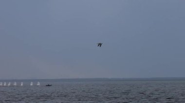 Kuzey Polonya 'da Baltık Denizi kıyısında. Suyun üzerinde süzülen uzak yelkenlilerin havadan görünüşü bulutlu bir gökyüzünün altında sakin bir atmosfer yaratıyor..