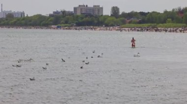 Sopot, Polonya - 2 Mayıs 2025: Baltık Denizi kıyısındaki sahil beldesi. Manzara Sahil Günü: İnsanlar açık gökyüzü altında yüzücüler, güneşlenenler, kuşlar ve uzak binaların keyfini çıkarıyorlar.