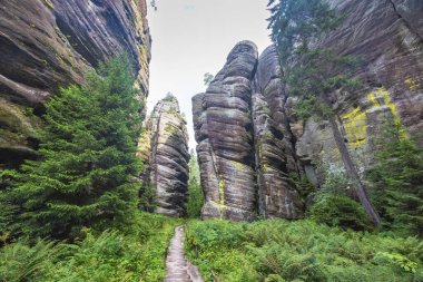 Adrspach-Teplice Rocks, sandstone formations in Hradec Kralove Region in the Czech Republic, Europe. Stone stairway leads through towering rock formations, lush foliage, and towering evergreen trees.