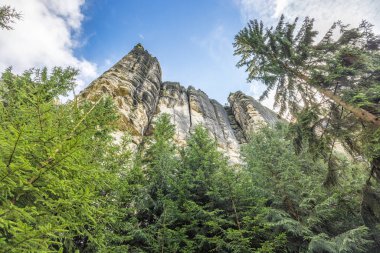 Adrspach-Teplice Rocks, sandstone formations in Hradec Kralove Region in the Czech Republic, Europe. Striking rock formations rise above lush evergreen trees, bathed in sunlight under a blue sky.