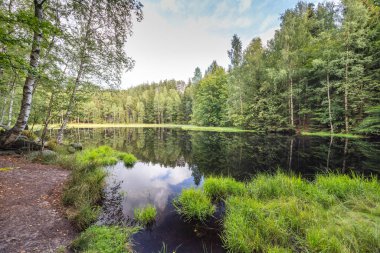 Landscape of Adrspach-Teplice Rocks area, in Hradec Kralove Region in Czech Republic, Europe. The Black Pond, serene forest lake reflecting trees and sky, lush greenery on banks offers natural beauty.