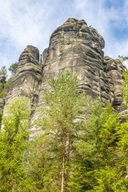 Adrspach-Teplice Rocks, sandstone formations in Hradec Kralove Region in the Czech Republic, Europe. Striking sandstone formations tower above the lush greenery, sculpted by time and the elements