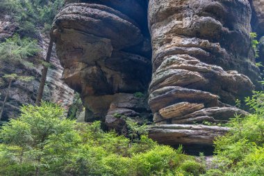 Adrspach-Teplice Rocks, sandstone formations in Hradec Kralove Region in the Czech Republic, Europe. Monolithic rock formations dominate a landscape with dense foliage, showcasing nature's artistry.