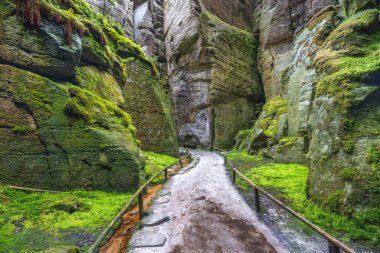Adrspach-Teplice Rocks, sandstone formations in Hradec Kralove Region in Czech Republic, Europe. Pathway through a mossy canyon, flanked by massive rocks, inviting exploration into nature's embrace.