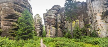 Adrspach-Teplice Rocks, sandstone formations in Hradec Kralove Region in Czech Republic, Europe. Striking sandstone rock formations showcasing nature's artistry, amidst lush greenery and scenic trails
