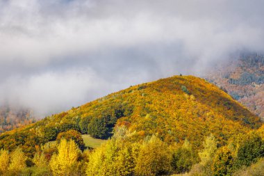 Sonbahar mevsiminde dağ manzarası. Slovakya 'nın kuzeybatısındaki Mala Fatra Milli Parkı, Avrupa.