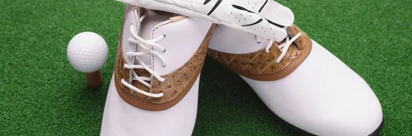 Golf Takımının Yakın Çekimi Kahverengi Golf Ayakkabıları Top Eldivenleri Olan — Stok fotoğraf