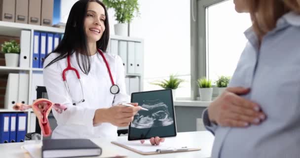 婦人科医は 妊娠中の女性に子供の超音波を示しています 妊娠中の女性の概念の体系的な検査 — ストック動画