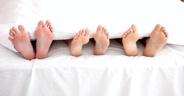 Frauenbeine Mit Zwei Männern Bett Schummeln Und Liebesdreieck — Stockvideo