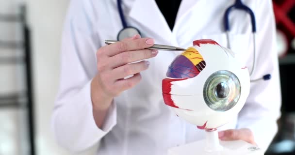 Médecin Ophtalmologiste Montrant Structure Anatomique Œil Sur Modèle Gros Plan — Video