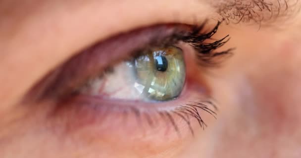 Occhio Umano Con Bella Blu Grigio Verde Cornea Iride Macrofotografia — Video Stock