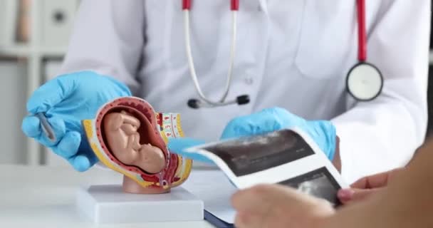 Médecin Discute Avec Femme Résultat Examen Embryon Gynécologie Concept Grossesse — Video