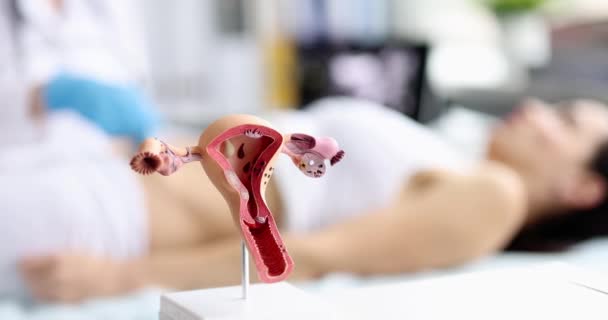 Examination Female Uterine Health Gynecology Treatment Diagnosis Diseases Cervix — Stock Video