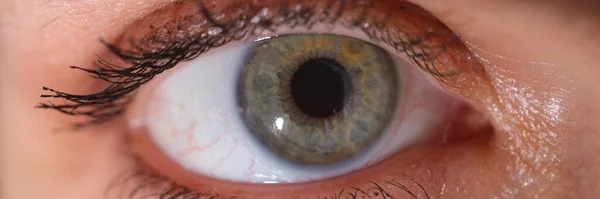 Female Eye Gray Green Painted Eyelashes Farsightedness Myopia Astigmatism Concept — стоковое фото