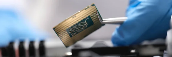 Engineer Holding Microprocessor Tweezers Motherboard Microchip Testing Concept — стоковое фото