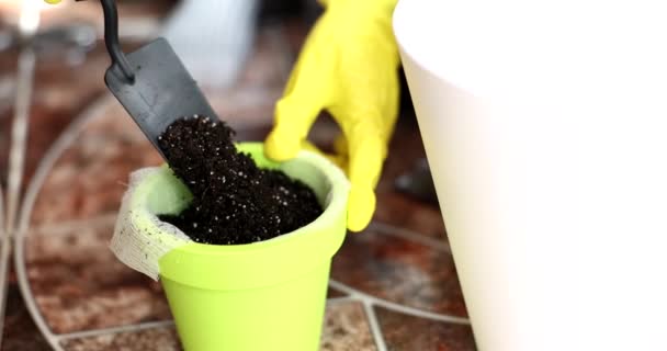 庭師はヘラで鍋に土を注ぐクローズアップ4K映画スローモーション 観葉植物のコンセプト — ストック動画