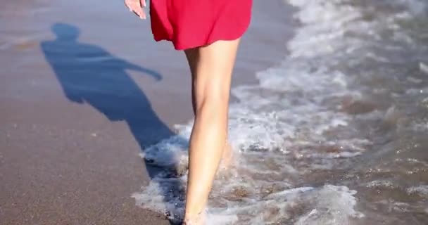 女性の足は海のビーチに沿って歩いて海を楽しむ 休暇中に海と観光客に沿って歩く — ストック動画