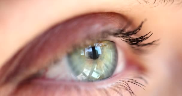 マクロ人間の目を開いて虹彩の目の美しい灰色の緑の目の健康的なビジョン 超近視的筋原性およびレーザー補正 — ストック動画