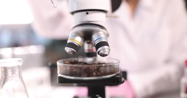 科学家用泥土把液体加到培养皿中 土壤农用化学品实验室分析概念 — 图库视频影像