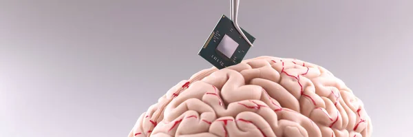 Close-up of tiny computer chip detail in human brain. Microprocessor in head. Future, modern technology and digital world concept