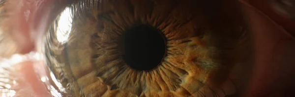 Крупный План Глаза Человека Экстремальный Макроснимок Женского Мужского Зрительного Органа — стоковое фото