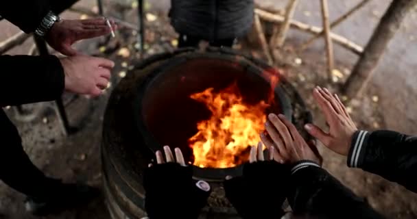 自然の中で火災の近くに手を暖める男性が4K映画スローモーションを閉じます 自然の概念に安住する — ストック動画