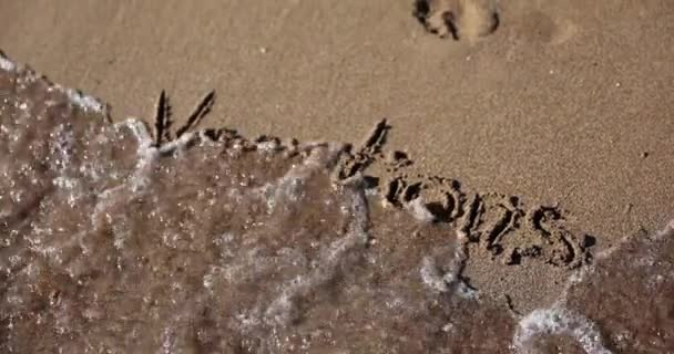 방학이라는 개념의 배경이다 위에서 휴가를 보내는 — 비디오