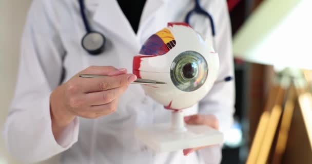 Oftalmolog Drží Kousek Očního Vzorku Modelového Oka Anatomická Struktura Očí — Stock video