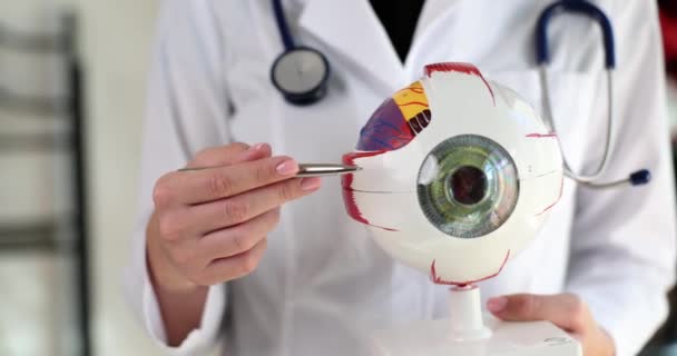 Doktor Oftalmolog Drží Anatomii Lidského Oka Vysvětluje Části Oka Hyperopie — Stock video