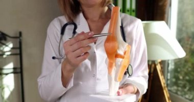 Cerrah, diz eklemi ve tendon modelini klinikte gösteriyor. Eklem değişimi ve artroskopi