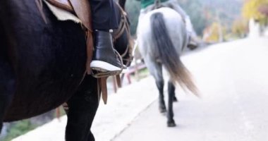 Ata binen binicilerin bacağı yakın plan. Turistler için ormanda at sürmek